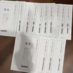 SAPIX SS特訓 志望校別入試攻略プリント 国語 2025年 6年