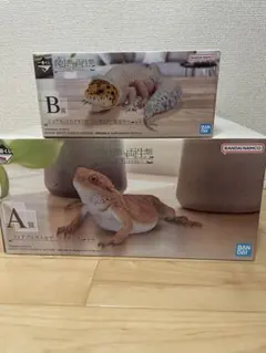 一番くじ　爬虫類＆両生類　Ａ賞　B賞