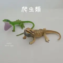 チョコエッグ チョコQ 爬虫類 グリーンアノール アゴヒゲトカゲ