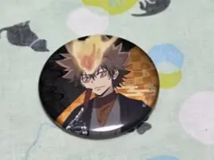 沢田綱吉 アニメ20周年記念 家庭教師ヒットマンREBORN! 缶バッジ