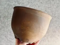 2026年最新】伝市 鉢の人気アイテム - メルカリ