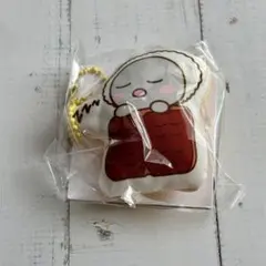 RIIZE オモカド ハラカド らいずし クッション キーホルダー ウンソク