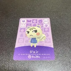 amiiboカード ジュン