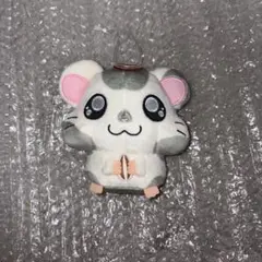 とっとこハム太郎　こうしくん　ぬいぐるみ