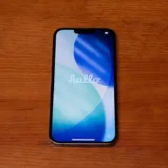 iPhone 13 Pro Max 1TB グラファイト／バッテリー98％