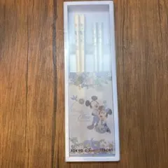 新品　東京ディズニーランド限定 ミッキー ミニー ペア箸 Disney