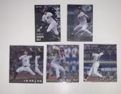 Item thumbnail for item c79c7196-a5c4-46b3-9d01-31aaedb83653