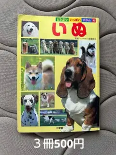 Item thumbnail for item da5d64d2-a07a-49e8-baf4-d4536bded68d