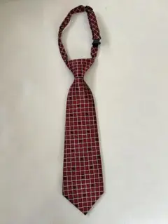 Item thumbnail for item a247623a-3d41-4542-89f8-36ba06de18e9