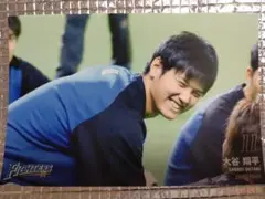 大谷翔平 2015 ハイライトフォト No.235 日本ハム 球団公式写真