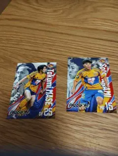 Item thumbnail for item c4e54863-dc24-4857-abcc-9f7b93011350