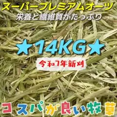 ★新刈 オーツヘイ14kg ◼︎スーパープレミアム ペットフード 牧草 おやつのサムネイル