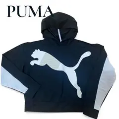 【PUMA】美品 レディース スウェットパーカー MODERN SPORTSのサムネイル