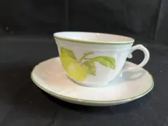 [廃盤品][希少] リチャードジノリ アンティコリモーネ 21cmプレート リチャードジノリ プレート 26㌢ 皿 アンティコリモーネ レモン