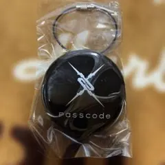 Passcode 黒 キーホルダーのサムネイル