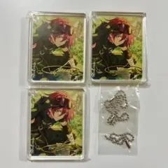 アニカフェ コロッタ 茨