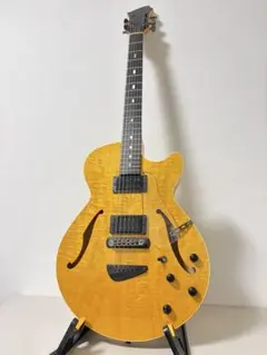 westville guitar Water ウエストビルギター　ウォーター westville guitar Water ウエストビルギター ウォーター - メルカリ