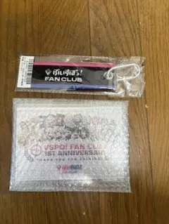 ぶいすぽ ファンクラブ 1年継続特典 ポストカード フライトタグ