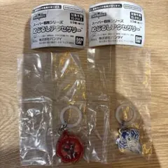 スーパー戦隊シリーズ　めじるしアクセサリー 2個セット