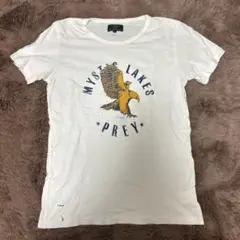 アールニューボールド