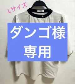 ブラウス カットソー　Lサイズ　試着のみ⭐︎