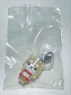 JOCHUM めじるしアクセサリー まめちぃ