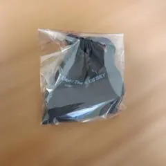 浜田省吾さんツアーグッズ携帯ストラップ キーホルダーセット 浜田省吾さんツアーグッズ携帯ストラップ キーホルダーセット 2025年