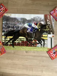 競馬 サニーブライアン 第64回日本ダービー 競馬写真木製パネル - メルカリ