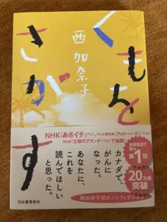 くもをさがす