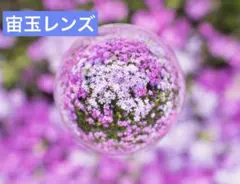 Item thumbnail for item 81e78a7b-9d9c-4181-aabe-dad482c2a23c