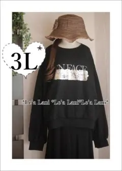 3L*裏起毛*英字ロゴ*カジュアルトレーナー*黒♪大きいサイズ*レディース