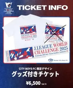 横浜F・マリノス vs リヴァプールFC 限定グッズ Tシャツ タオルマフラー