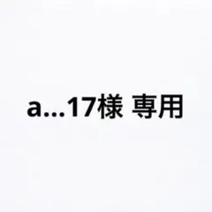 a...17様 専用ページ