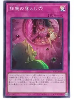 蟲惑魔の森 精霊術の使い手　結束と絆の魔導師／誇りと魂の龍　デュエルセット 結束と絆の魔導師／誇りと魂の龍 デュエルセット【未開封】 | 未
