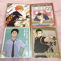 ハイキュー 色紙 まとめ売り 日向翔陽 孤爪研磨 岩泉一 赤葦京治