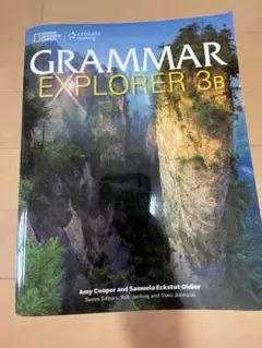 GRAMMAR EXPLORER 3B