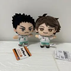 ハイキュー‼︎ みにコレ ぬいぐるみ マスコット3 岩泉一 及川徹