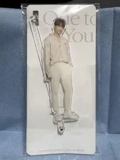 SEVENTEEN セブチ ドギョム Ode to You アクスタ - メルカリ