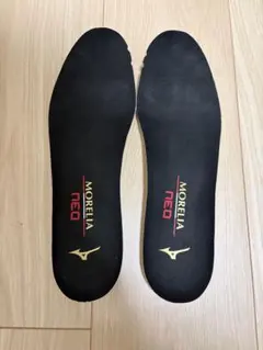 ミズノ モレリア インソール