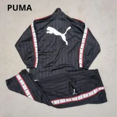 2025年最新】プーマジャージ上下xoの人気アイテム - メルカリ