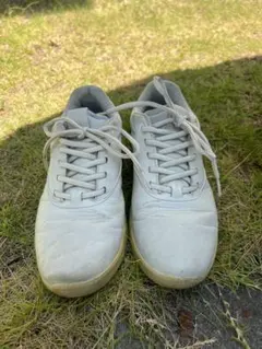 ECCO BIOM H4 ゴルフシューズ EU39 EXTRA WIDTH 幅広 - メルカリ