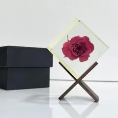 2025年最新】ウサギノネドコの人気アイテム - メルカリ