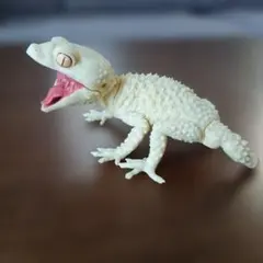 SO-TAスタジオソータ1/1 　オニタマオヤモリ