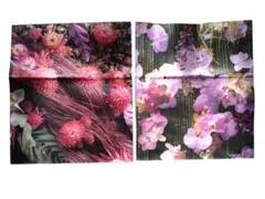 Item thumbnail for item 4b400b0d-7ced-4f8e-a0de-03cfd2d4ff69