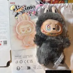 2025年最新】POPMART labubu シークレットの人気アイテム - メルカリ