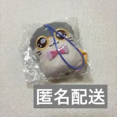 とっとこハム太郎 かぷっこふれんず めがねくん