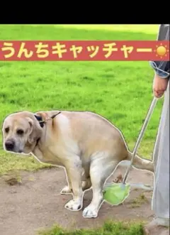 Item thumbnail for item cc13412f-76c4-404d-ab18-9bd8697be912