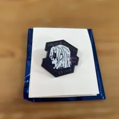 劇場版　鬼滅の刃　無限城編　キャラクターモチーフピンズ　第一弾　宇髄天元