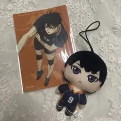 ハイキュー 影山飛雄セット