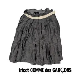 tricot COMME des GARCONS ストライプ フレアスカート M - メルカリ